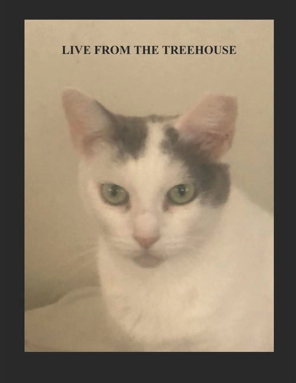 Live from the Treehouse: On the road to Magnolia, (Paperback)