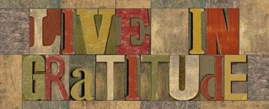 Live in Gratitude Printer Block Panel Canvas Art - Tara Reed (10 x 20)