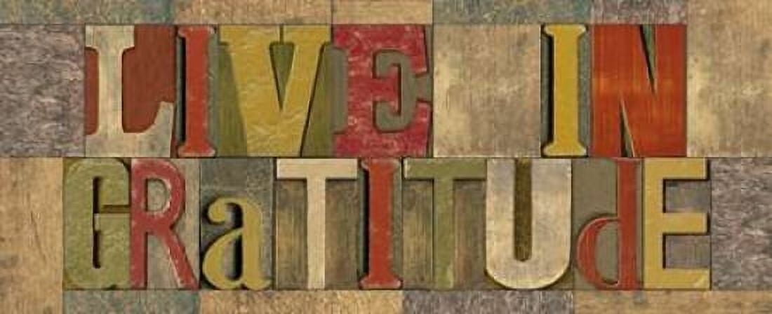 Live in Gratitude Printer Block Panel Canvas Art - Tara Reed (24 x 48)