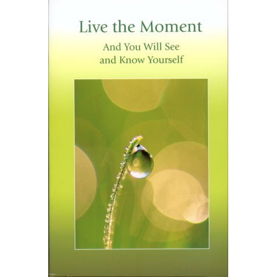 Pre-Owned Live the Moment (English and Marathi Edition) (Paperback) 1890841544 9781890841546