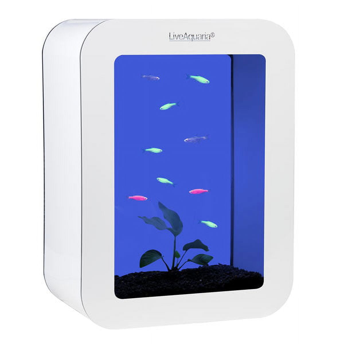 LiveAquaria® GloFish Danio Aquarium Kit Cubi White