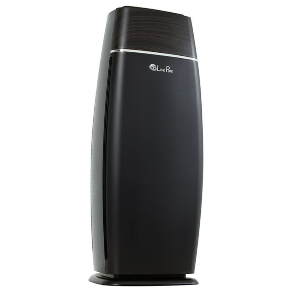 Dust Mite Air Purifier