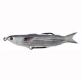 thumbnail image 1 of LiveTarget Lures Mullet Hollow Body Lure, 1 of 3