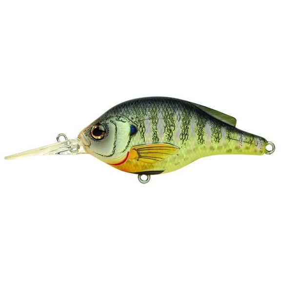 LiveTarget Lures Sunfish Bluegill Roundbill