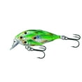 thumbnail image 1 of LIVETARGET Yearling Baitball Squarebill Crankbait - Silent 1 7/8 Multi-Colored, 1 of 1
