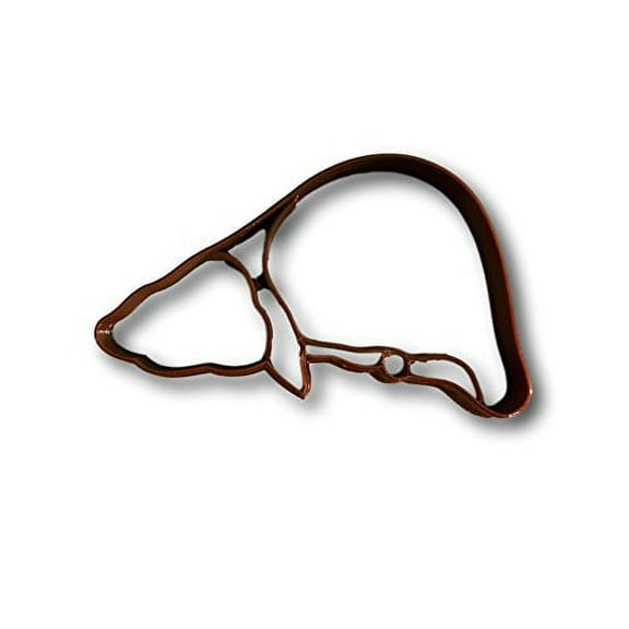 Liver Anatomy Cookie Cutter- Fast Shipping - Sharp Edges - Exceptional Quality