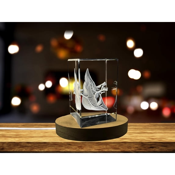 Liver Art | 3D Engraved Crystal Keepsake | Personalized Photo Gift | Clear - AB Crystal Collection