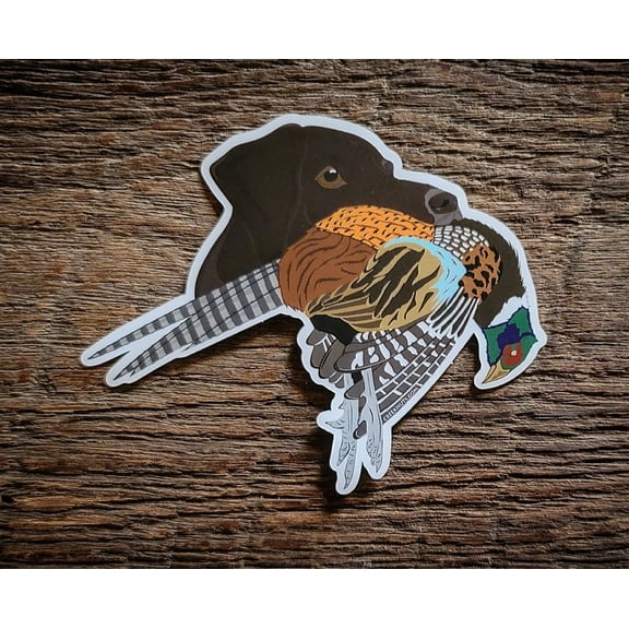 Liver German Shorthaired Pointer with Pheasant Sticker Decal