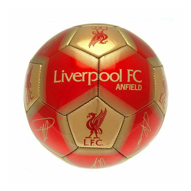 2019 skills cheap soccer ball