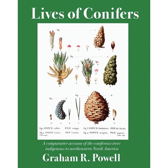 Lives of Conifers: A Comparative Account of the Coniferous Trees Indigenous to Northeastern North America, (Paperback)