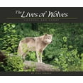 thumbnail image 1 of Lives of Wolves, Coyotes and Foxes (Paperback), 1 of 1