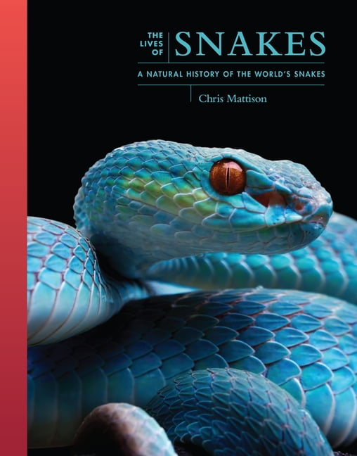 The Lives of Snakes - (Lives of the Natural World) by Chris Mattison (Hardcover)