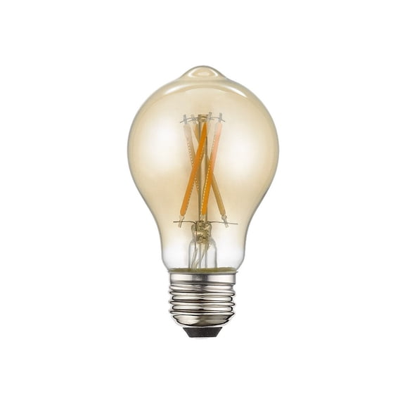 X - Light Amber Orange Incandescent Light Bulb