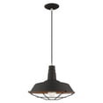 thumbnail image 1 of 41184-04 Livex Lighting Metal Shade - 1 Light Mini Pendant in Coastal Style - 14 Inches wide by 16 Inches high-Black Finish    -Traditional, 1 of 11