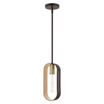 45761-07 Livex Lighting Rave - 1 Light Pendant in Industrial Style - 5.13 Inches wide by 16 Inches high-Bronze/Antique Brass Finish    -Traditional