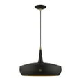 thumbnail image 1 of 49353-04 Livex Lighting Banbury - 1 Light Pendant In Geometric Style-17.5 Inches Tall and 17 Inches Wide-Black/Antique Brass Finish    -Traditional, 1 of 10