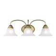 thumbnail image 1 of Livex Lighting Edgemont Bath Light in Antique Brass, 1 of 12