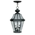 thumbnail image 1 of Livex Lighting - Georgetown - 2 Light Outdoor Pendant Lantern in Traditional, 1 of 6