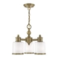 thumbnail image 1 of Livex Lighting - Middlebush - 3 Light Convertible Mini Chandelier in Traditional, 1 of 12