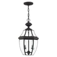 thumbnail image 1 of Livex Lighting Monterey 2 Light Outdoor Chain Hang in Black, 1 of 8