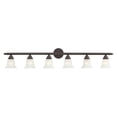 thumbnail image 1 of Livex Lighting Neptune Bath Light in Bronze, 1 of 14