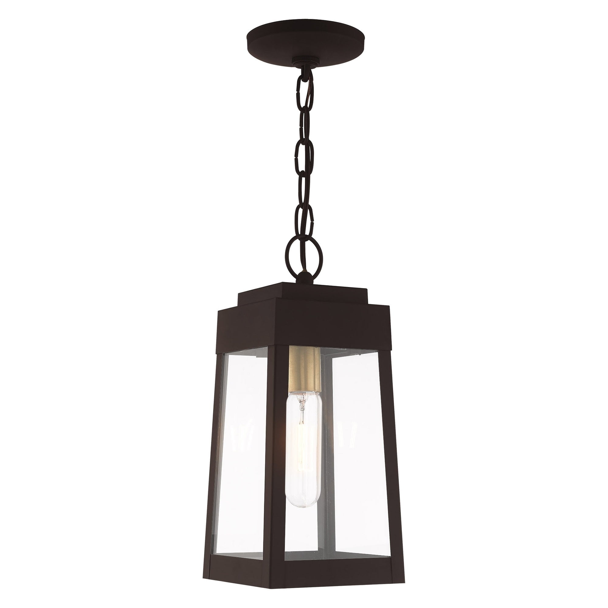 Oslo Clear Glass and Bronze 1-Light Outdoor Pendant