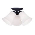 thumbnail image 1 of Livex Lighting Ridgedale Ceiling Mount in Black, 1 of 5