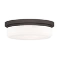 thumbnail image 1 of Livex Lighting Ceiling Mount or Wall Mount, 1 of 11