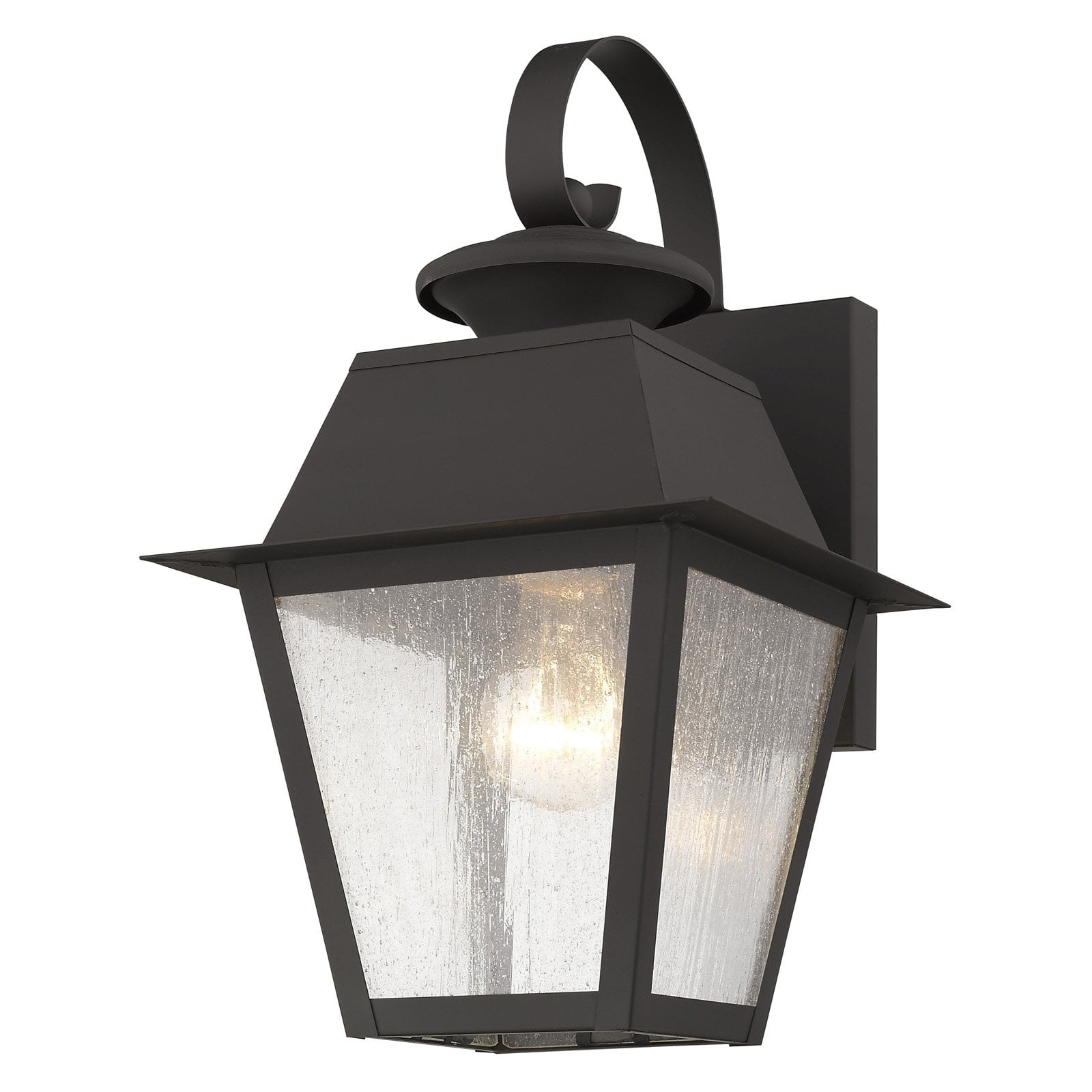 Elegant Bronze Seeded Glass Outdoor Lantern Wall Light