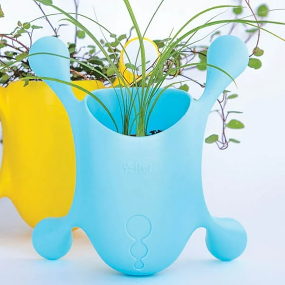 Livi Pot - Vertical Planter for Windows and Smooth Surfaces - 6 x 6 - Aqua