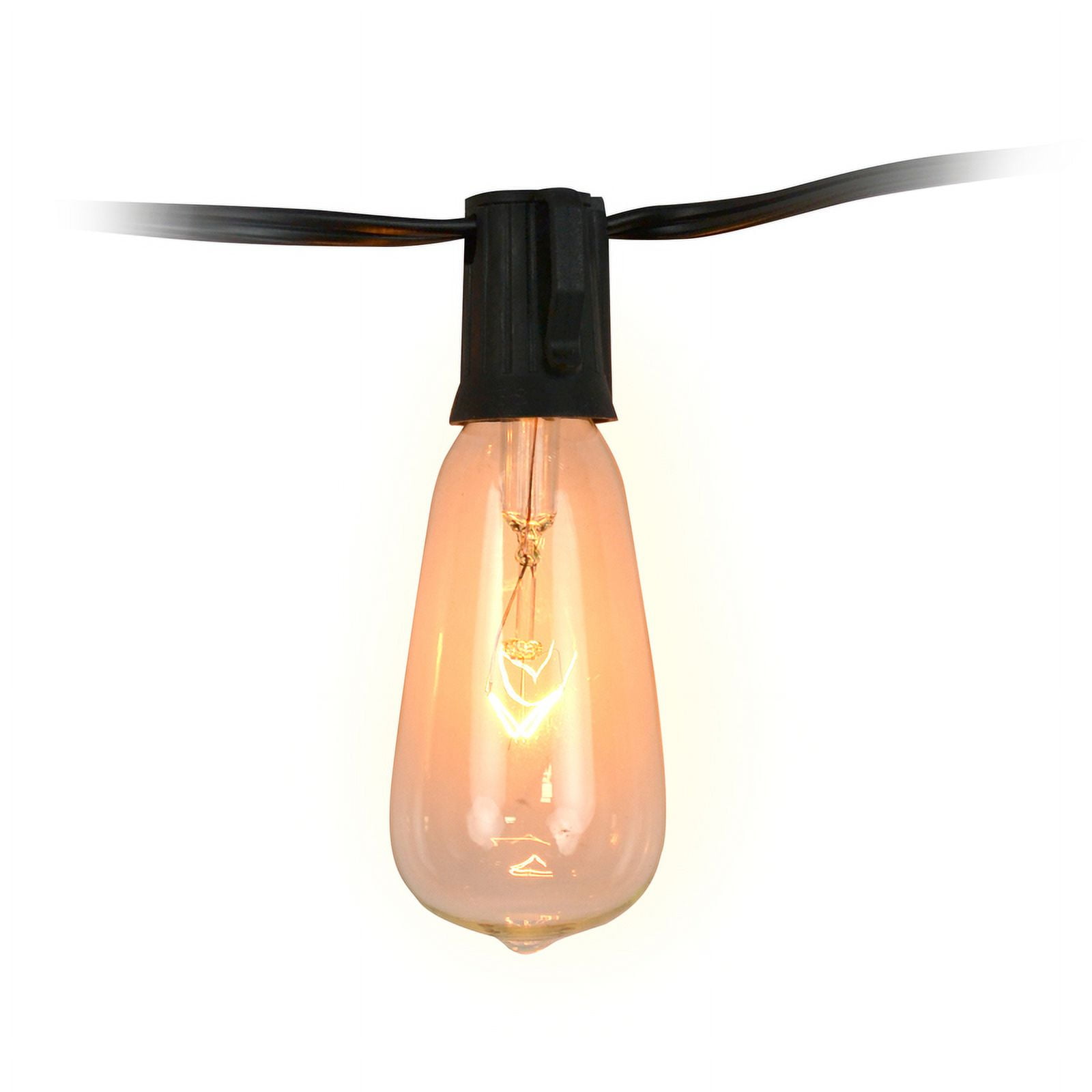 10 ft. Black Wire Clear Glass Incandescent Edison Light Set