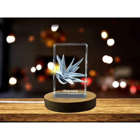 Living Aloe Vera Plant Sculpted Inside Crystal with Intricate 3D Engraving