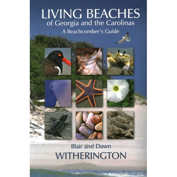 Living Beaches of Georgia and the Carolinas: A Beachcomber's Guide, (Paperback)