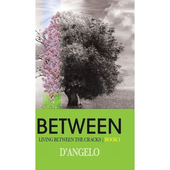 Living Between the Cracks Between, Book 1, (Hardcover)