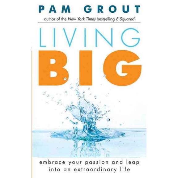 Pre-Owned Living Big: Embrace Your Passion and Leap Into an Extraordinary Life (for Readers of the Course in Miracles Experiment and Thank & (Paperback) 1573246522 9781573246521