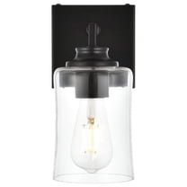 Living District Ronnie 1-Light Iron & Glass Bath Sconce in Black/Clear