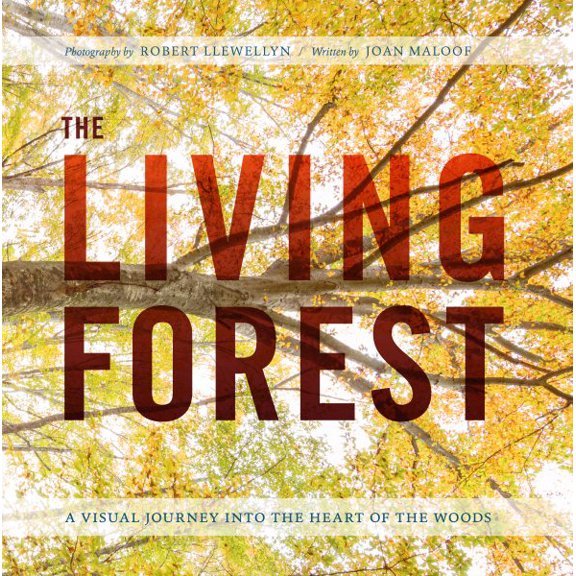 Pre-Owned Living Forest - Hardcover