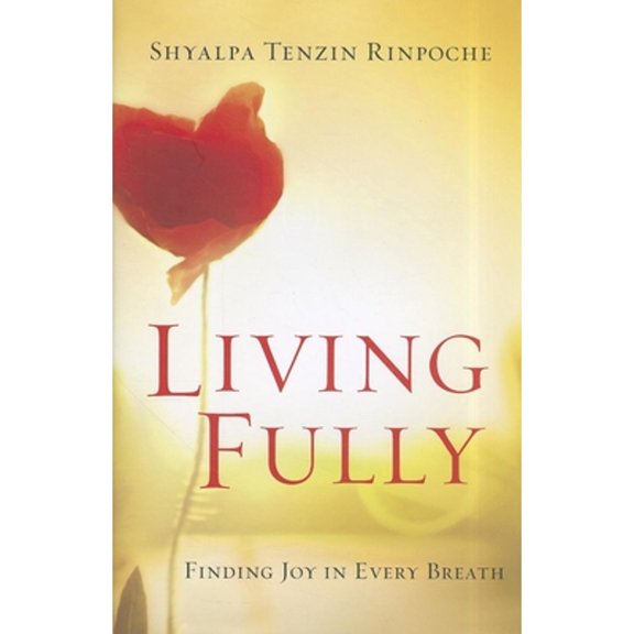 Pre-Owned Living Fully: Finding Joy in Every Breath (Hardcover) 1608680754 9781608680757