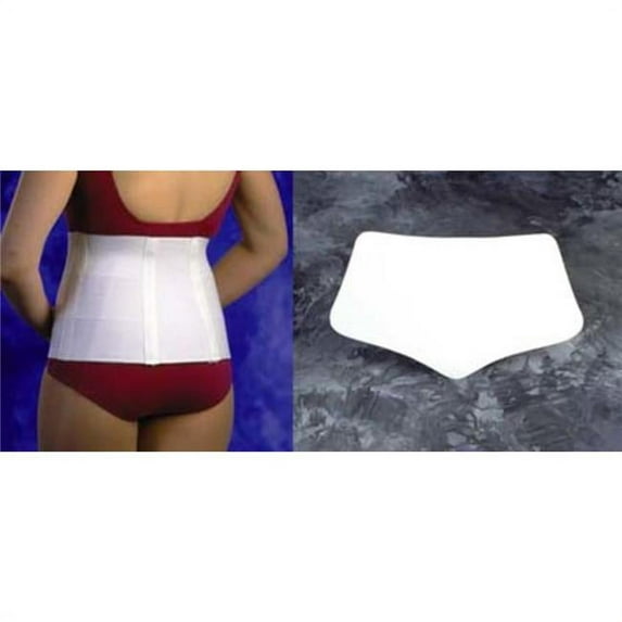 Living Health Products AZ-74-2060-L Lumbar Support with Moldable Insert, Large