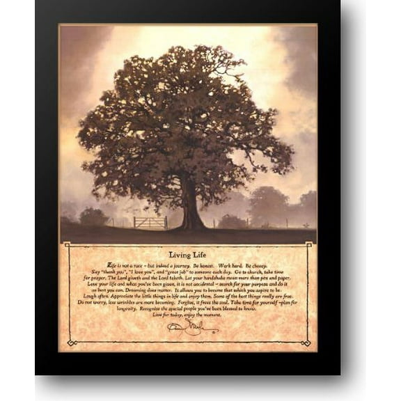 Living Life 20x24 Framed Art Print by Mohr, Bonnie