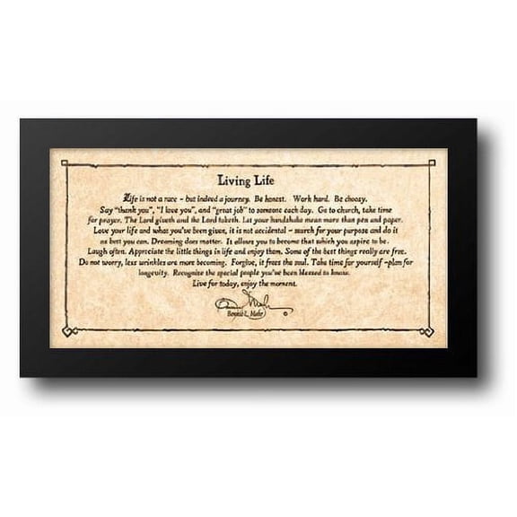 Living Life 28x16 Framed Art Print by Mohr, Bonnie