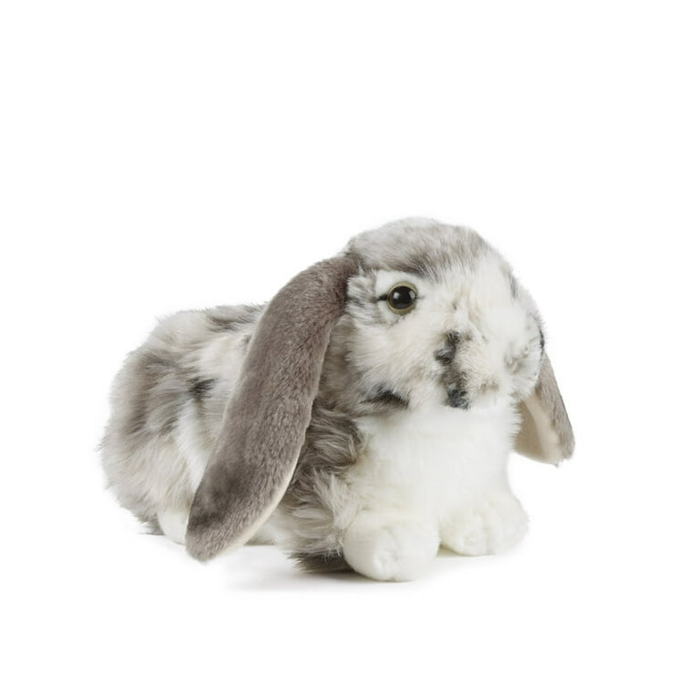 Living nature lop 2025 eared rabbit