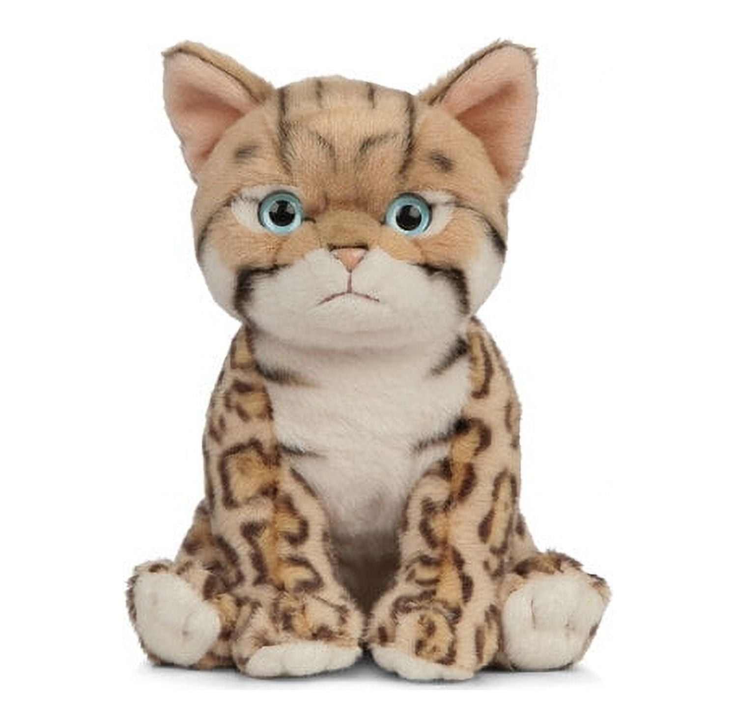 15 Cuddle Chunk Kitten in Cat Stuffed Animals