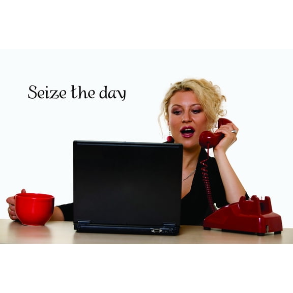 Living Room Art Seize The Day Motivational Quote 6x20 Inches