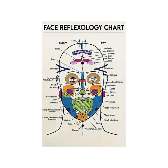 Living Room Bedroom Wall Art Face Massage Reflexology Chart Facial Acupoints Guide Poster Wellness Decor Print