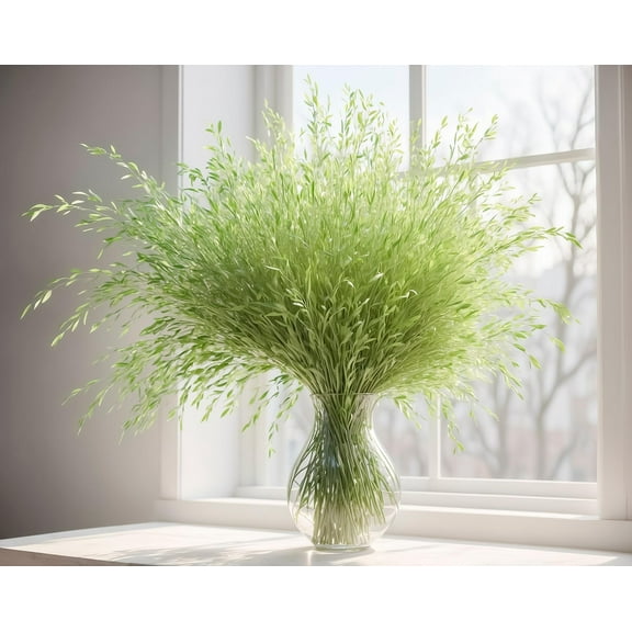 Living Vase Decor - Willow Branches That Grow in Just Water - Great for Table Centerpiece, Wedding or Event Decor (20 Branches)