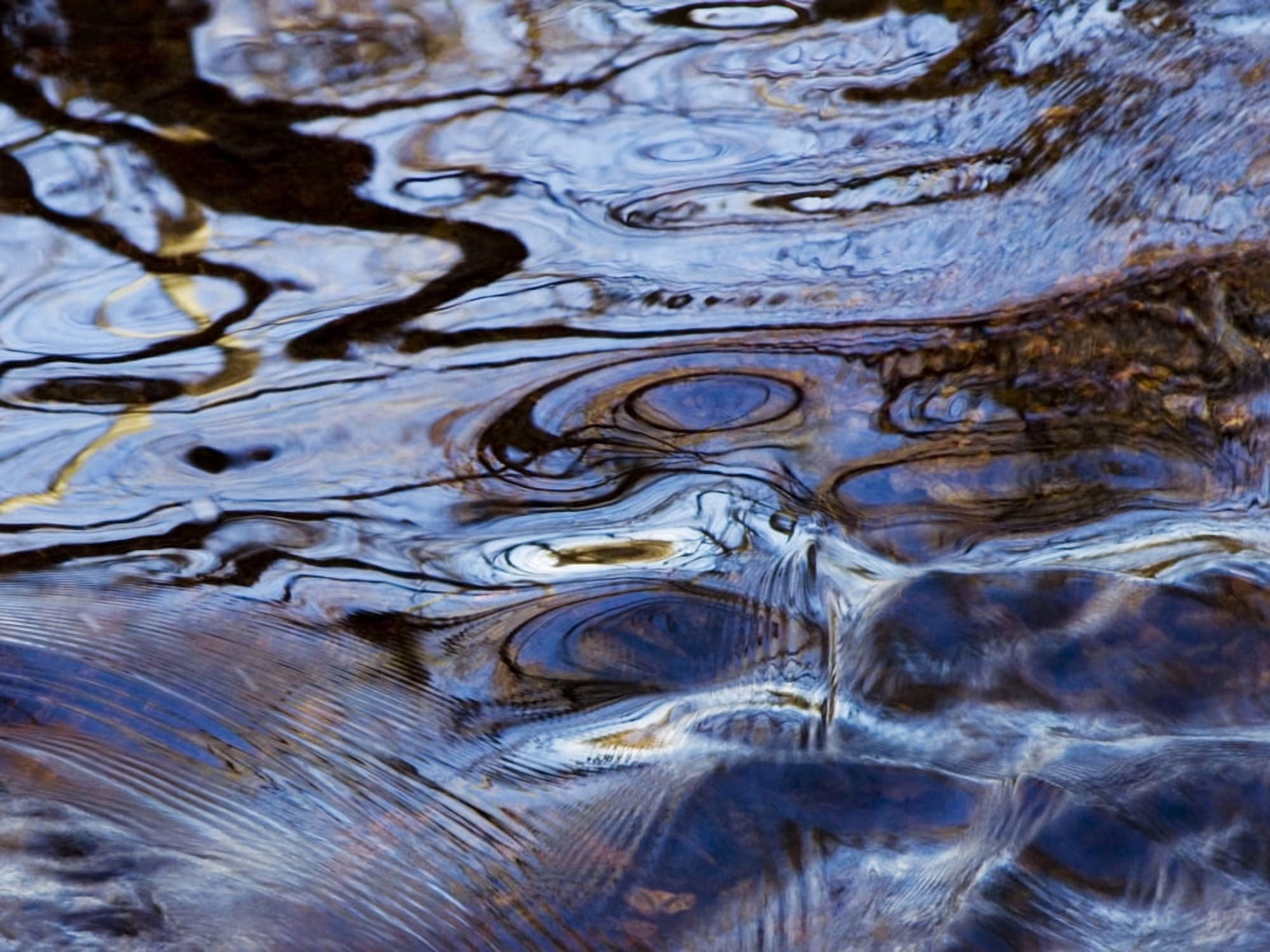 Living Waters Massachusetts Seekonk Caratunk Wildlife Refuge Ripples And Reflections On Water Surface Canvas Art - Joanne Baldaia  Design Pics (16 x 12)