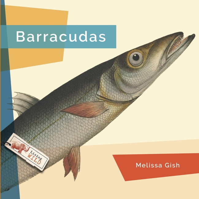 Living Wild Barracudas, (Paperback)