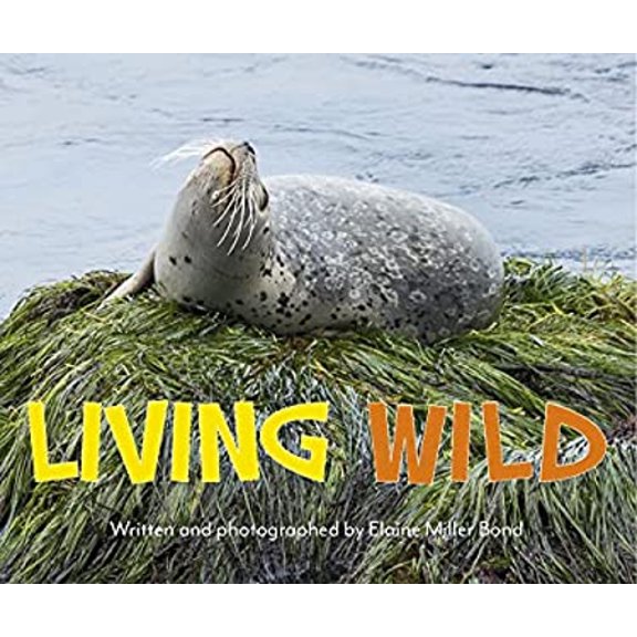 Pre-Owned Living Wild (Board book) 1597143820 9781597143820