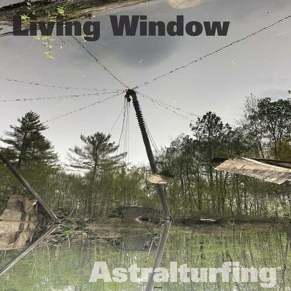 Living Window - Astralturfing - Music & Performance - Vinyl